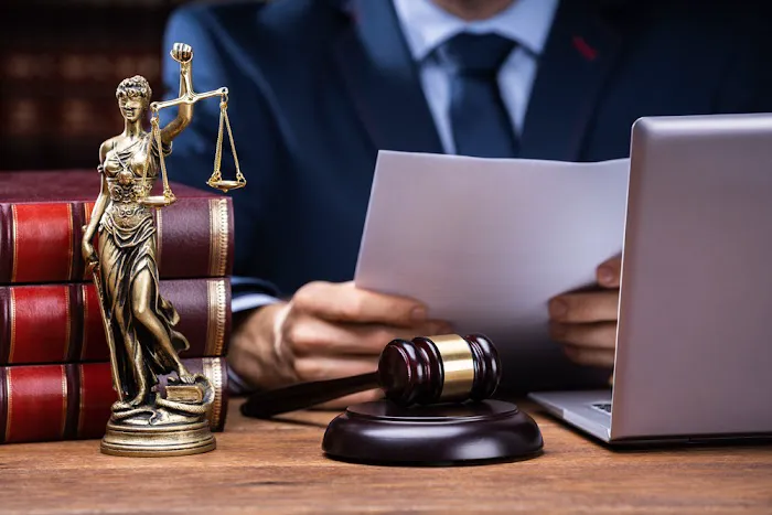 Omni Law Intellectual Property Attorney 5