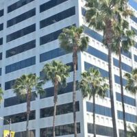 Cary Injury Law ico