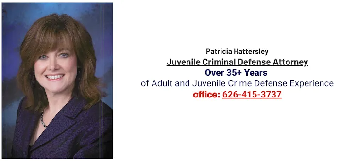 Immediate Criminal Defense and Juvenile Defense Attorney Since 1983 5