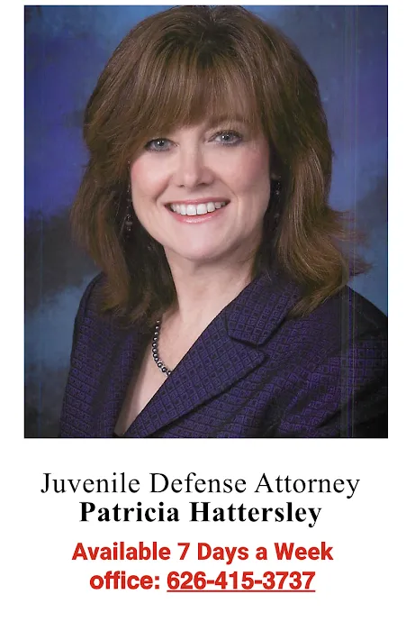 Immediate Criminal Defense and Juvenile Defense Attorney Since 1983 5
