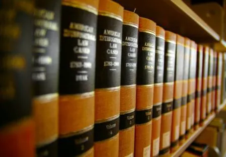 Law Office of Diego J. Weinsetel, APLC 5
