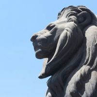 Anand Law PC ico