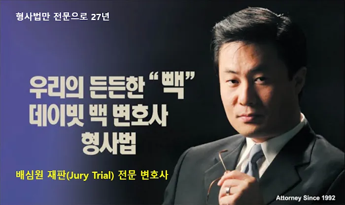 David Paek Criminal lawyer | 데이빗 백 형사법 변호사 5