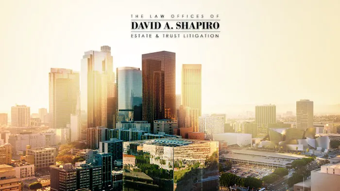 Law Offices of David A. Shapiro, P.C. 5