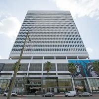 Levine & Blit LLP ico