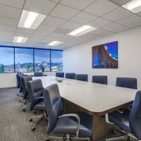 The Werner Law Firm ico