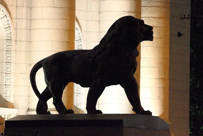 The Lion's Law Office 5