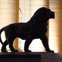 The Lion's Law Office ico