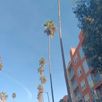 The Law Office of Matthew G. Goodwin ico