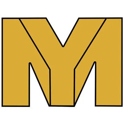 Michael Yadegari LA Law Group Personal Injury Employment and Accident Attorneys 5