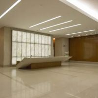 Larian Law Firm, APC ico