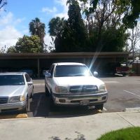 Silverman & Goldszer ico