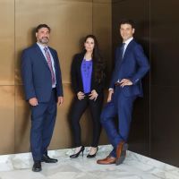 Wrongful Termination Law Group ico