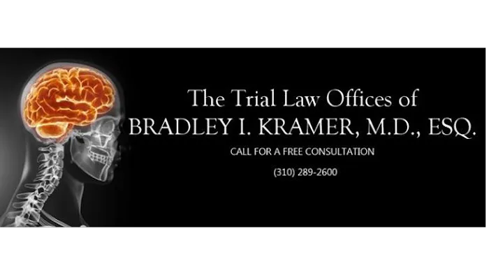 The Trial Law Offices of Bradley I. Kramer M.D., Esq 4