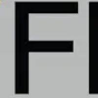 Feig Finkel LLP ico