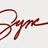 Flying Solo - Divorce Recovery Group ico