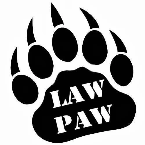 Law Paw 4