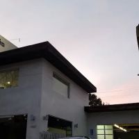 Gittler & Bradford ico
