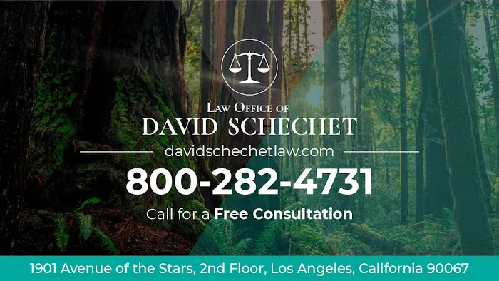 Law Office of David Schechet 5