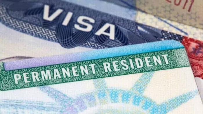 The Immigration Professor -- Immigration Lawyers 5