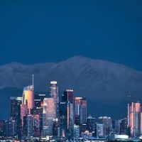 The Immigration Professor -- Immigration Lawyers ico