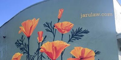 JaruLaw: Javaherian and Ruszecki, P.C.