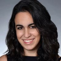The Immigration Professor ico