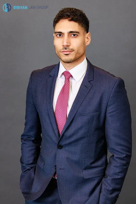 David Bibiyan - Employment Law Attorney 5
