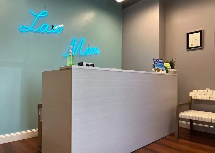 Law Mom 5