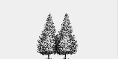 Twin Pine Law Firm, PC