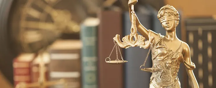 Shea Culgin Law 4