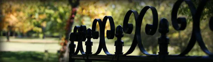 SchlitzLaw 4