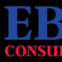 EB-3 Consultants ico