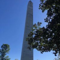 Patriot Law ico