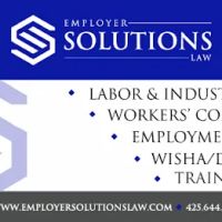 Employer Solutions Law ico
