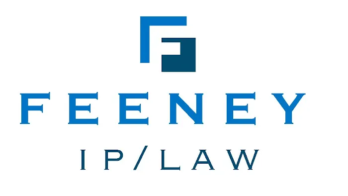 Feeney Patent Law Group 4