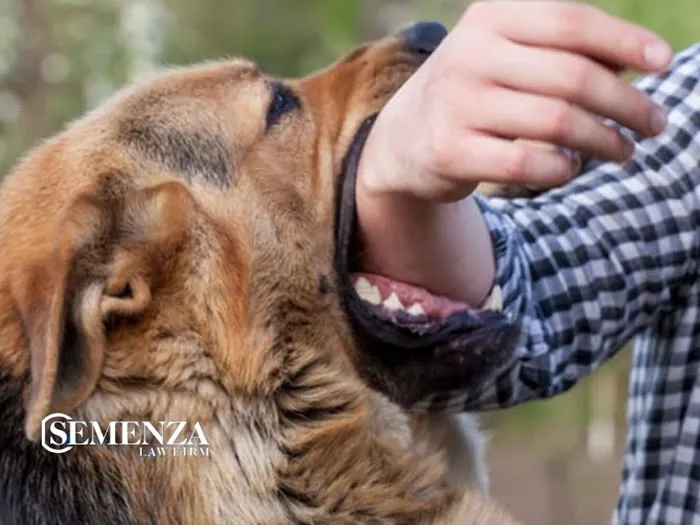 Semenza Law Firm 5