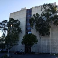 The Law Office of Matthew J. Delgado ico