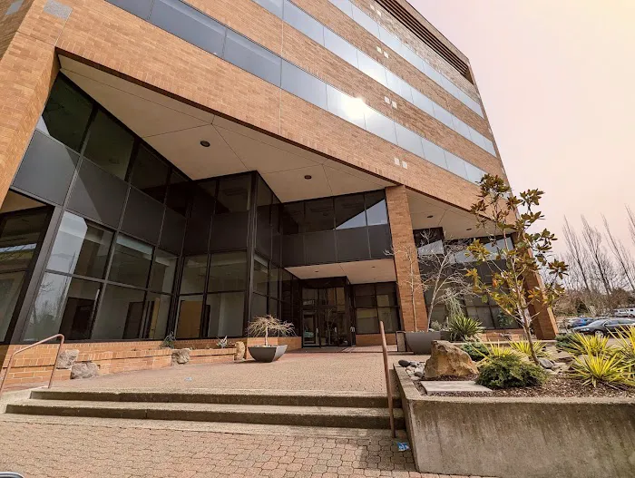 Vincent J. Bernabei LLC 5