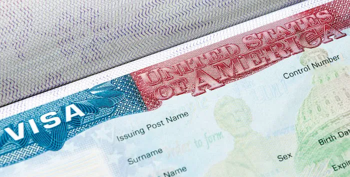 Bailey Immigration 5