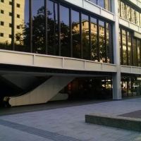 Steven Rayne Attorney ico