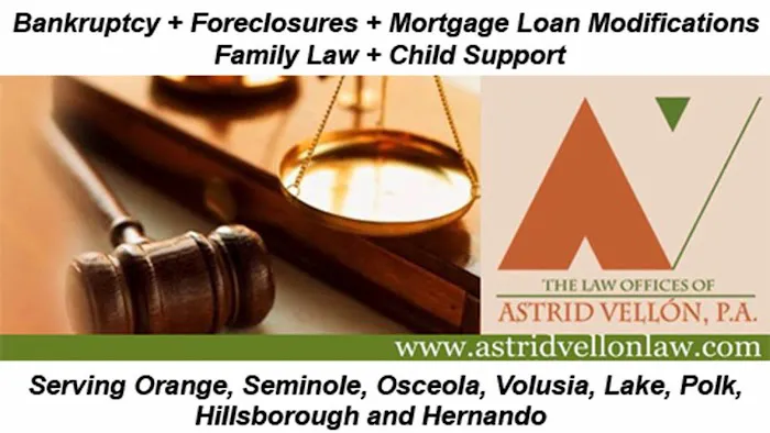 The Law Offices of Astrid Vellon P.A. 5