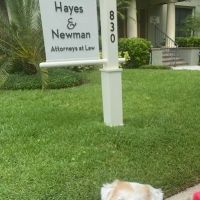 Hayes & Newman, PL ico
