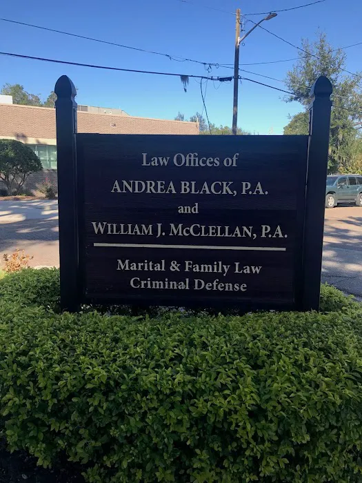 Andrea Black P.A. 5