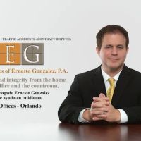 Law Offices of Ernesto Gonzalez P.A. ico