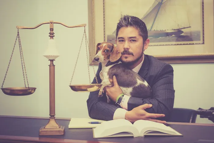 The Law Firm of Heiko G. Moenckmeier, LLC 5