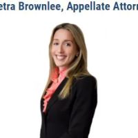 The Brownlee Law Firm ico