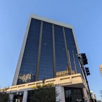 The Ladan Law Firm, P.A. ico