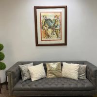 Central Florida Immigration Attorneys, PLLC ico