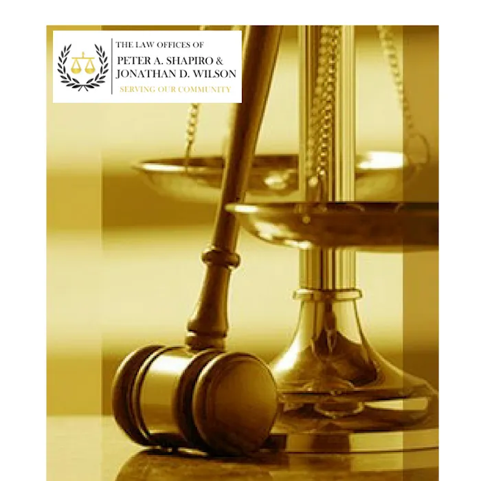 The Law Offices of Peter A. Shapiro & Jonathan D. Wilson 5